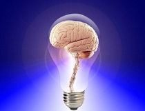 IDEA cerebro